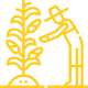 Project Completed Icon