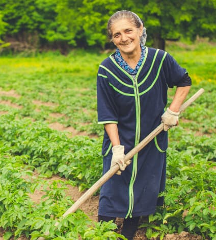 The Environmental Benefit of Organic Farming