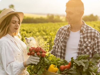 The Environmental Benefit of Organic Farming