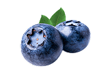 Blueberry