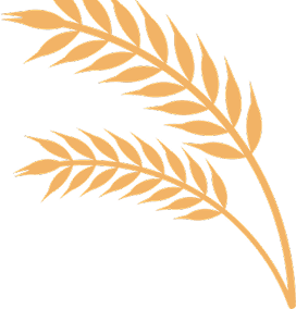 decorative shape