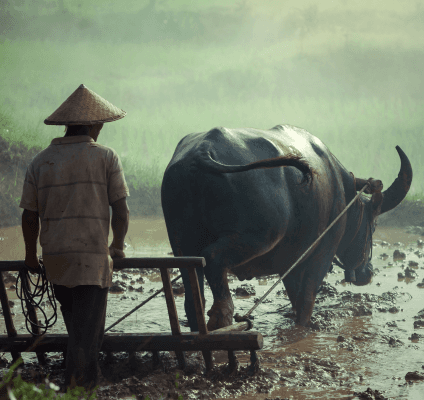 Modern Agriculture