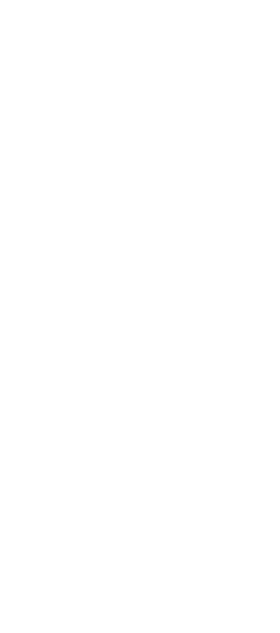 Shape 2