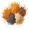 Legume